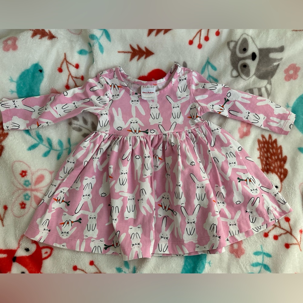 Hanna Andersson Pink Bunny Print Long Sleeve Dress